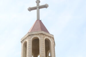 picalneese.5